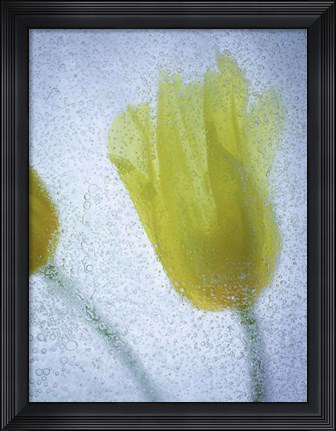 Framed Tulipanes Amarillos 32 2 Print
