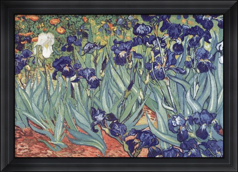 Framed Irises, Saint-Remy, c.1889 Print