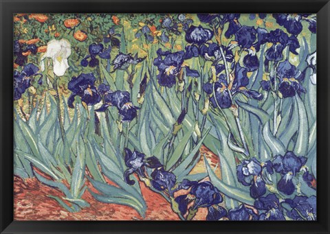 Framed Irises, Saint-Remy, c.1889 Print