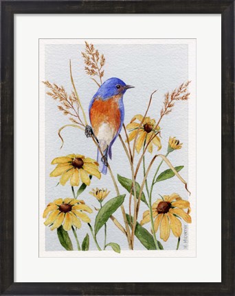 Framed Bluebird And Blackeyed Susans Print
