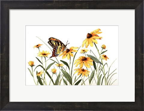 Framed Butterfly &amp; Black Eyed Susans Print