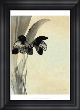 Framed Orchid Blush Panels I Print