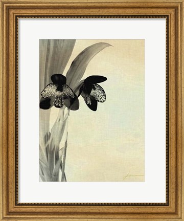 Framed Orchid Blush Panels I Print