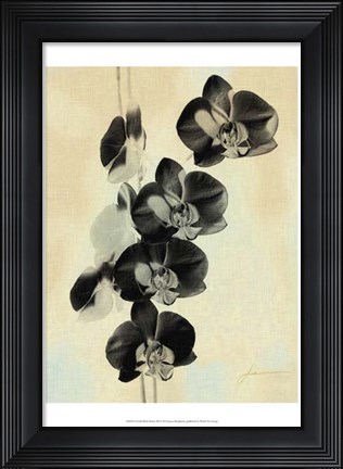 Framed Orchid Blush Panels III Print