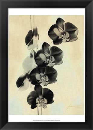 Framed Orchid Blush Panels III Print