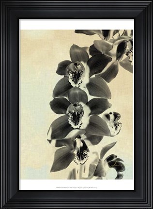 Framed Orchid Blush Panels IV Print