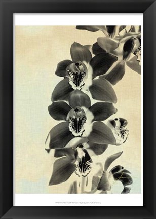 Framed Orchid Blush Panels IV Print
