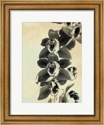Framed Orchid Blush Panels IV Print