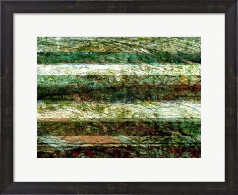 Framed Lines of Nature II Print