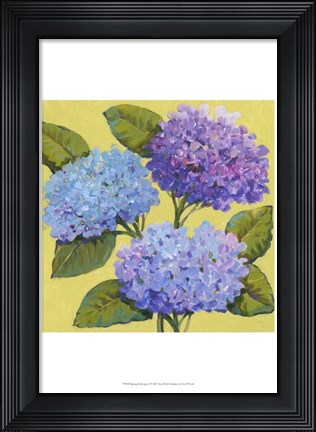 Framed Spring Hydrangeas I Print