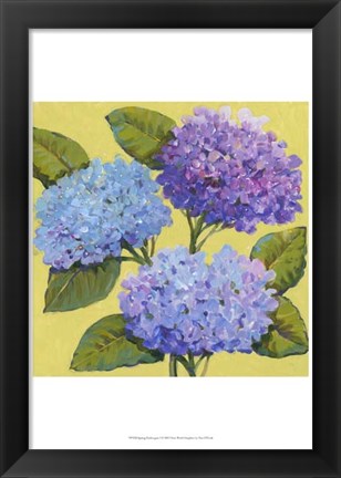 Framed Spring Hydrangeas I Print