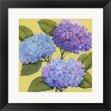 Framed Spring Hydrangeas I Print