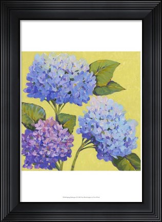 Framed Spring Hydrangeas II Print