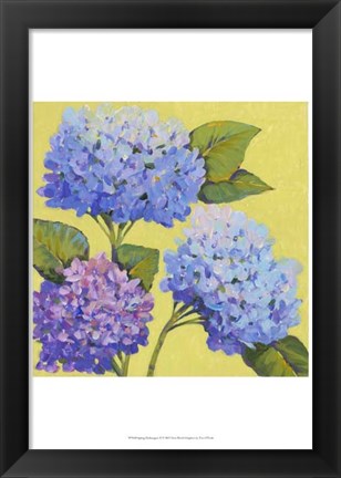 Framed Spring Hydrangeas II Print