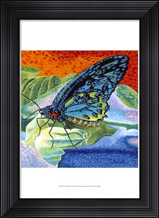Framed Poised Butterfly II Print