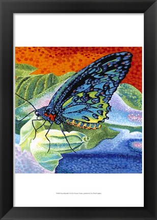 Framed Poised Butterfly II Print