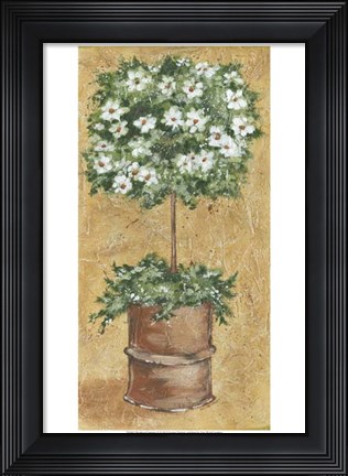 Framed Weathered Topiaries II Print