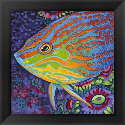 Framed Brilliant Tropical Fish I Print