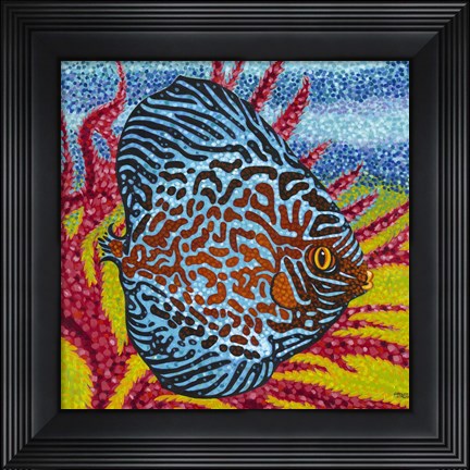 Framed Brilliant Tropical Fish II Print