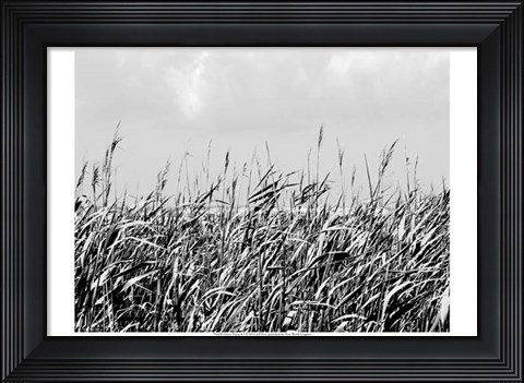 Framed Dune Triptych I Print