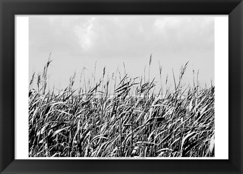 Framed Dune Triptych I Print