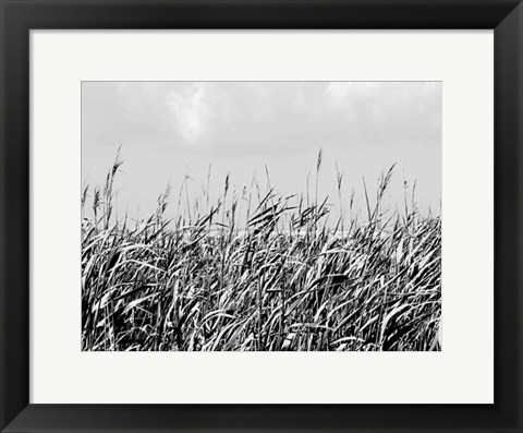 Framed Dune Triptych I Print