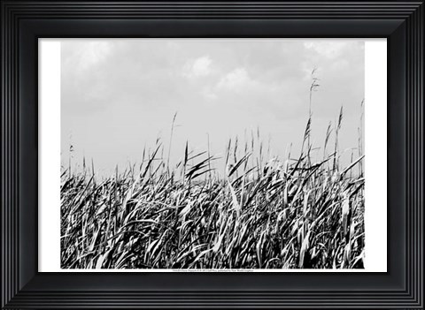 Framed Dune Triptych II Print