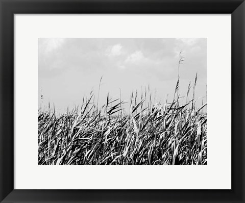 Framed Dune Triptych II Print