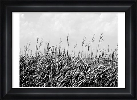 Framed Dune Triptych III Print