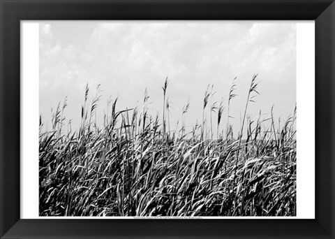 Framed Dune Triptych III Print