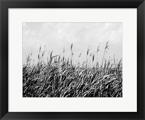 Framed Dune Triptych III Print