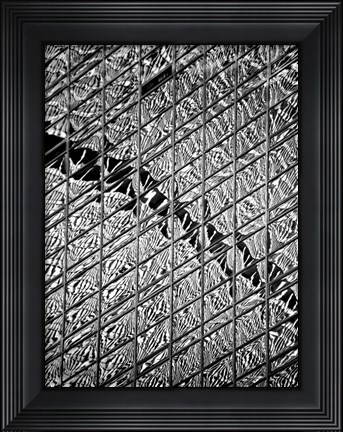 Framed Reflections of NYC V Print