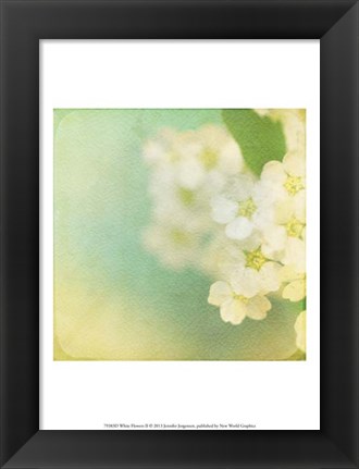 Framed White Flowers II Print