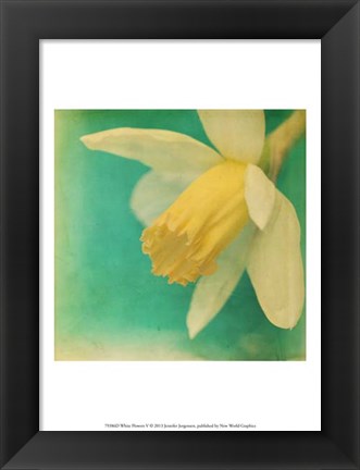 Framed White Flowers V Print