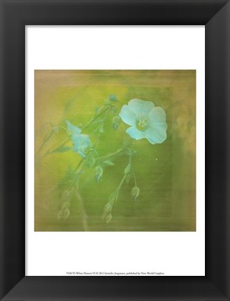 Framed White Flowers VI Print
