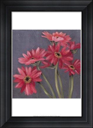 Framed Gerbers on Grey II Print