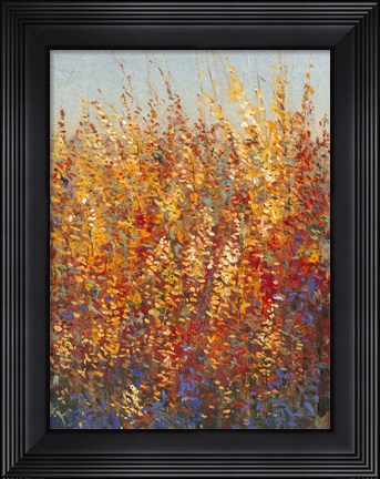 Framed High Desert Blossoms I Print