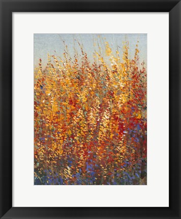 Framed High Desert Blossoms I Print