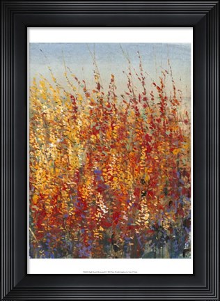 Framed High Desert Blossoms II Print