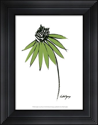 Framed Graphic Cone Flower I Print