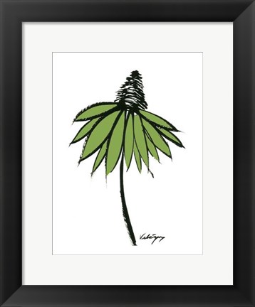 Framed Graphic Cone Flower II Print