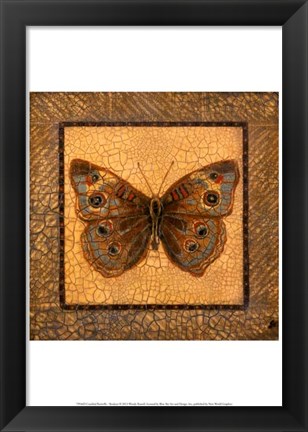 Framed Crackled Butterfly - Buckeye Print