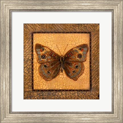 Framed Crackled Butterfly - Buckeye Print