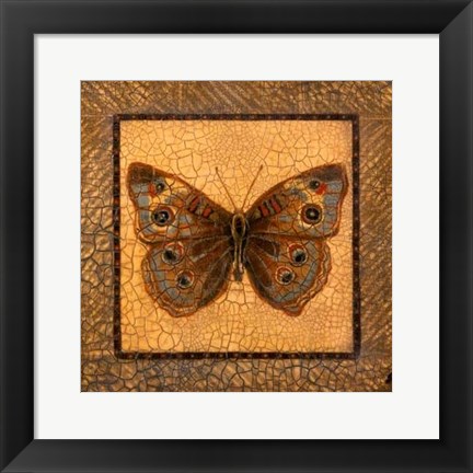 Framed Crackled Butterfly - Buckeye Print