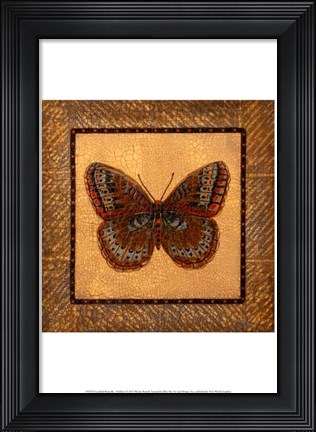 Framed Crackled Butterfly - Fritillary Print