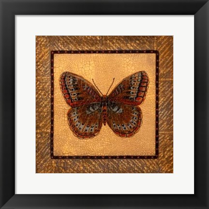 Framed Crackled Butterfly - Fritillary Print