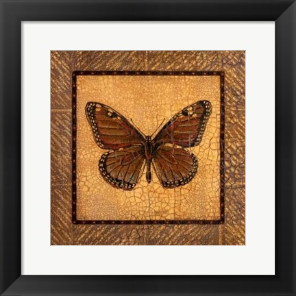 Framed Crackled Butterfly - Monarch Print