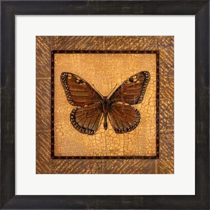 Framed Crackled Butterfly - Monarch Print