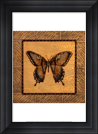 Framed Crackled Butterfly - Swallowtail Print