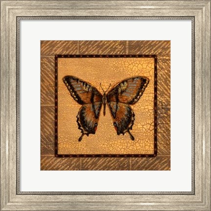 Framed Crackled Butterfly - Swallowtail Print